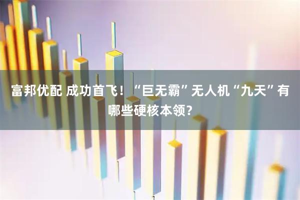 富邦优配 成功首飞！“巨无霸”无人机“九天”有哪些硬核本领？